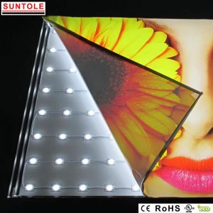 GyM-publicidad-frameless-01